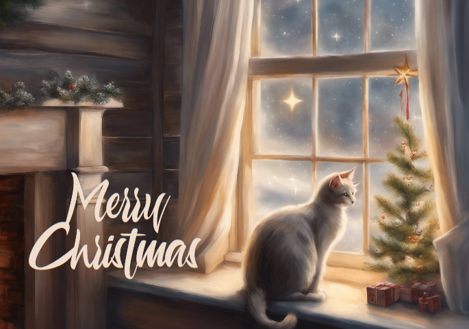Christmas Cat Greetings Card - 6 Pack